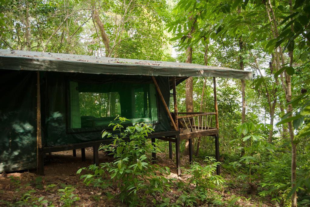 La Leona Eco Lodge Carate Exterior foto