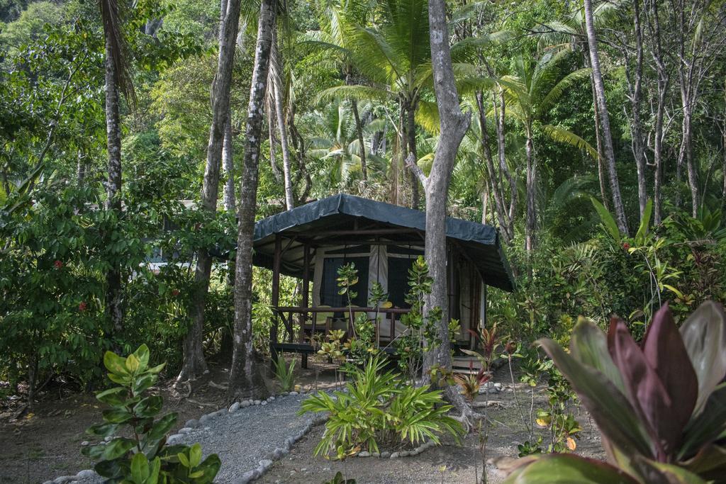 La Leona Eco Lodge Carate Exterior foto